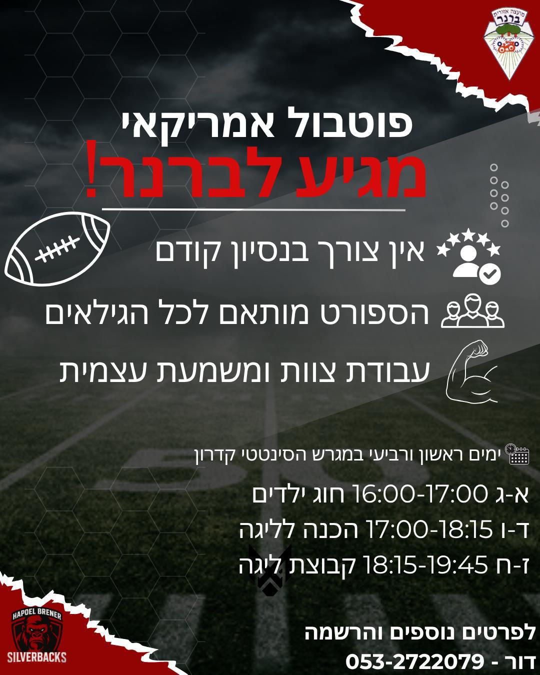 כדור פוטבול