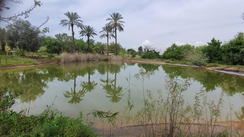 טיול לנאות קדומים 4.jpg